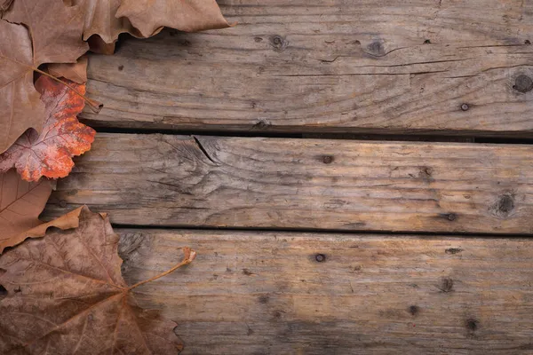 Zbliżenie Wielokrotny Jesienny Liść Kopia Miejsce Drewniany Powierzchnia Koncepcja Sezonu — Zdjęcie stockowe