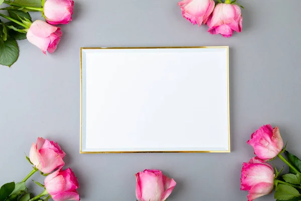 Overhead View Fresh Pink Roses Blank Frame Isolated Gray Background — Stockfoto