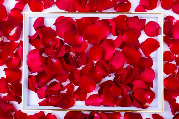 散乱新鮮な赤バラの花びらと写真フレームのオーバーヘッドビュー 自然とパーティーの装飾 — ストック写真
