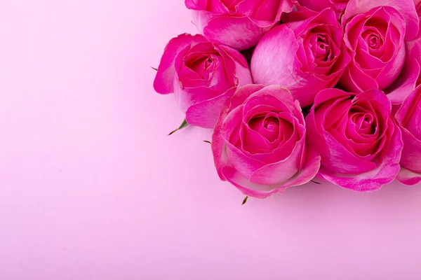 Bovenaanzicht Van Verse Roze Roos Bloemen Door Kopieerruimte Gekleurde Achtergrond — Stockfoto