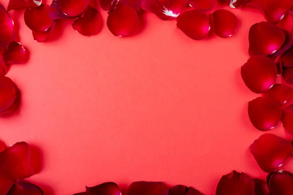 在珊瑚背景上的红色玫瑰花瓣的正上方 复制空间 情人节与爱情的概念 图库照片