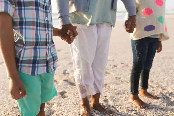 站在海滩时 一位年长的妇女牵着女孩和男孩的手 感情和周末 — 图库照片