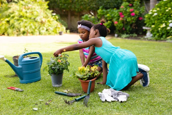 Duas Irmãs Afro Americanas Plantar Juntas Jardim Quintal Conceito Família — Fotografia de Stock