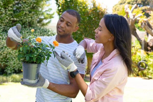 裏庭で一緒に園芸しながら 若いアフリカ系アメリカ人のカップルが花を植えます 人々と団結と自然は変わらず — ストック写真