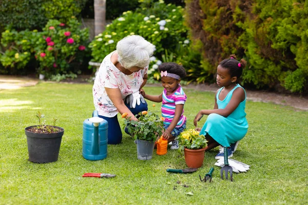 Abuela Afroamericana Jardinería Con Nietas Arrodilladas Por Plantas Patio Trasero — Foto de Stock