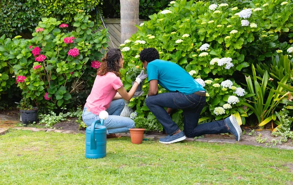 Jonge Biraciale Paar Knielen Tijdens Het Tuinieren Samen Achtertuin Mensen — Stockfoto