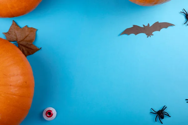 Composizione Decorazione Halloween Con Zucche Pipistrelli Copiare Spazio Sfondo Blu — Foto Stock