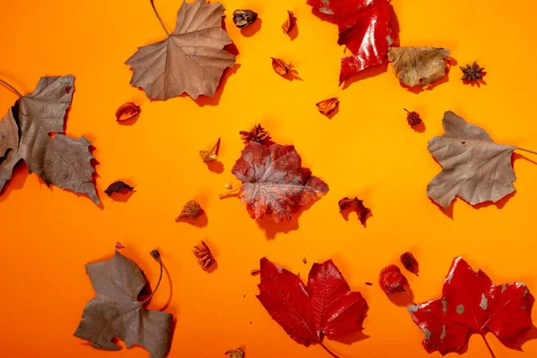 Σύνθεση Του Halloween Διακόσμηση Ξηρά Φύλλα Και Σπόρους Πορτοκαλί Φόντο — Φωτογραφία Αρχείου