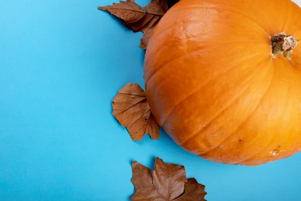 Composição Decoração Halloween Com Abóbora Folhas Espaço Cópia Fundo Azul — Fotografia de Stock