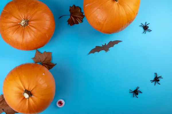 Skład Dekoracji Halloween Dyń Nietoperzy Miejsca Ksero Niebieskim Tle Horror — Zdjęcie stockowe