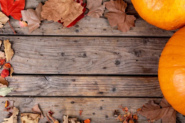 Sammansättning Halloween Dekoration Med Pumpor Och Kopiera Utrymme Trä Bakgrund — Stockfoto