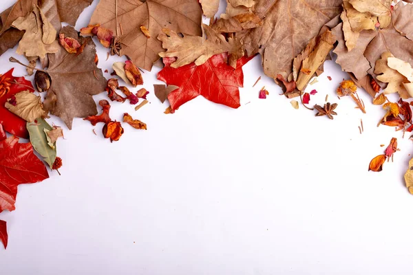 Samenstelling Van Halloween Decoratie Met Droge Bladeren Kopieer Ruimte Witte — Stockfoto