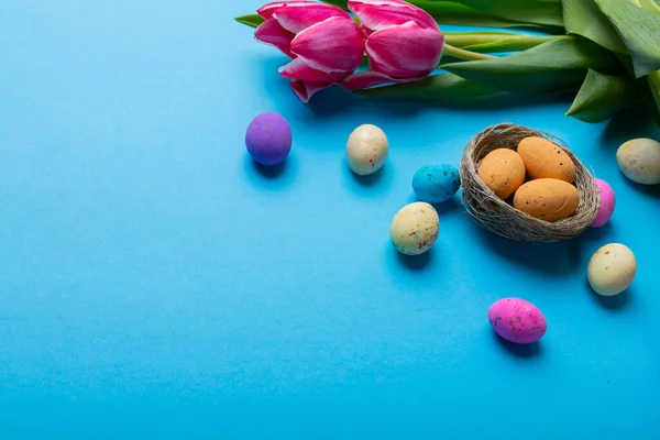 Bunte Osterbonbons Kleinem Nest Mit Rosa Tulpen Auf Blauem Hintergrund — Stockfoto