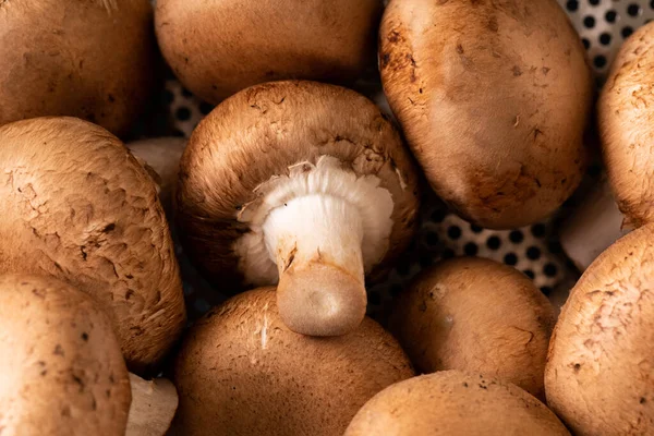 Extrém Közelkép Friss Barna Gombákról Változatlan Egészséges Élelmiszer Nyers Élelmiszer — Stock Fotó