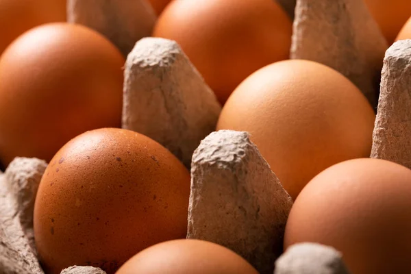カートンの新鮮な茶色の卵の完全なフレームのクローズアップショット 変化のない 食べ物 健康的な食事のコンセプト — ストック写真