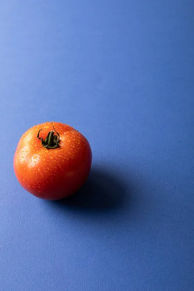 Primo Piano Pomodoro Rosso Singolo Fresco Con Gocce Acqua Spazio — Foto Stock