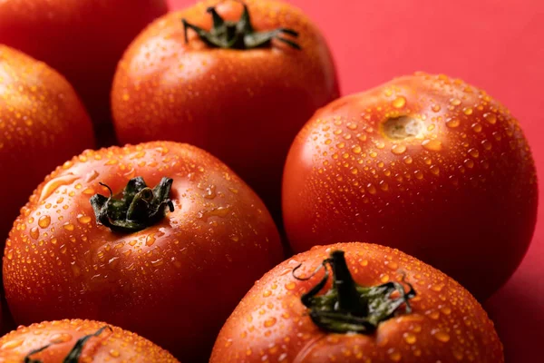 Nahaufnahme Von Frischen Roten Tomaten Mit Wassertropfen Vor Farbigem Hintergrund — Stockfoto