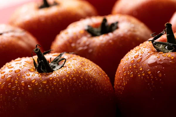 Zbliżenie Kropli Wody Świeże Czerwone Pomidory Organiczne Bez Zmian Żywność — Zdjęcie stockowe
