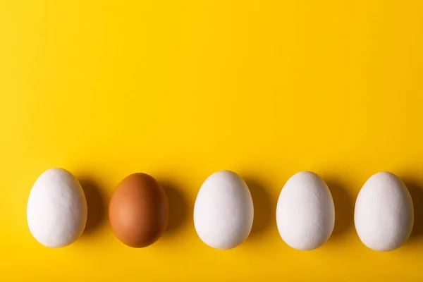 黄色の背景にコピースペースと並んで配置された白の中に茶色の卵のオーバーヘッドビュー 変化のない 食べ物 健康的な食事のコンセプト — ストック写真