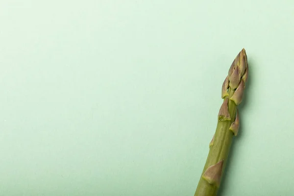 Overhead View Fresh Single Asparagus Vegetable Copy Space Blue Background — Stock Photo, Image