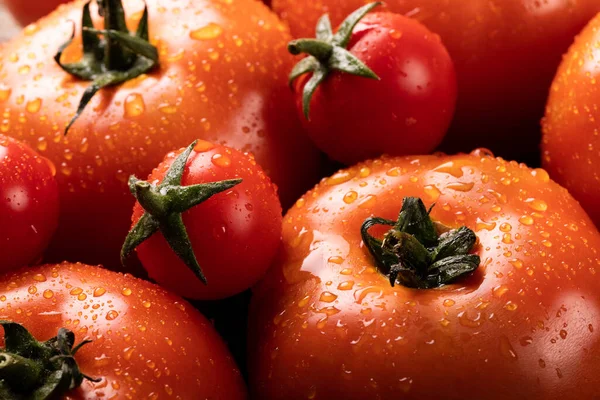 Tiro Armação Cheio Gotas Água Tomates Vermelhos Frescos Alimentos Orgânicos — Fotografia de Stock