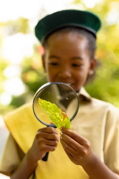 아프리카 미국인 스카우트 여학생 속에서 돋보기를 나뭇잎을 있습니다 변경되지 스카우트 — 스톡 사진
