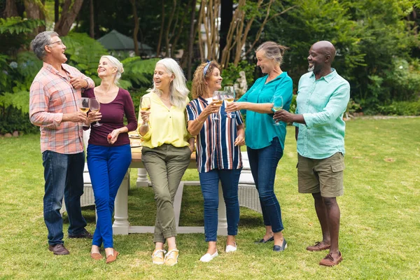 Gelukkige Multiraciale Oudere Mannelijke Vrouwelijke Vrienden Toosten Wijn Tijdens Achtertuin — Stockfoto