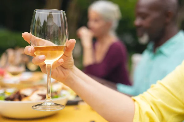 Mulher Sênior Tomando Vinho Com Amigos Multirraciais Festa Quintal Inalterado — Fotografia de Stock