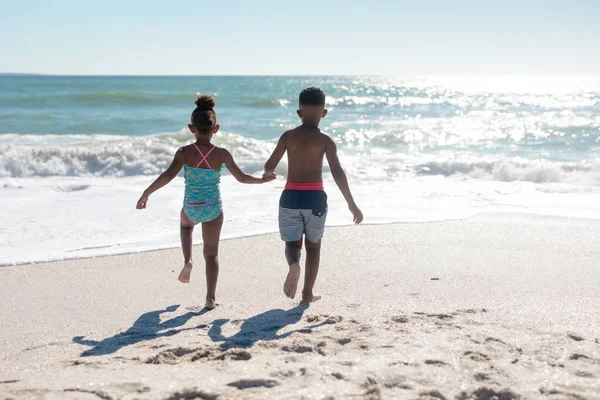 晴れた日にビーチで海に向かって走っている間に手をつないでいるアフリカ系アメリカ人の兄弟の後部ビュー 変わることのない家族子供時代一緒に楽しむ休日のコンセプト — ストック写真