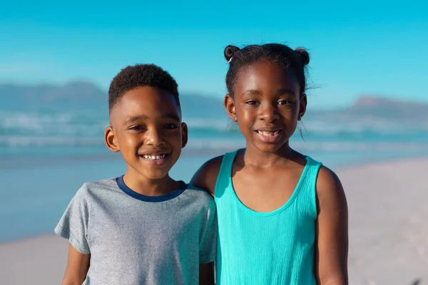 Retrato Del Sonriente Hermano Hermana Afroamericanos Pie Contra Mar Cielo —  Fotos de Stock