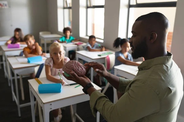 アフリカ系アメリカ人の若い男性教師が多人種の小学生に脳モデルを説明する 無修正 子供時代 学校の概念 — ストック写真