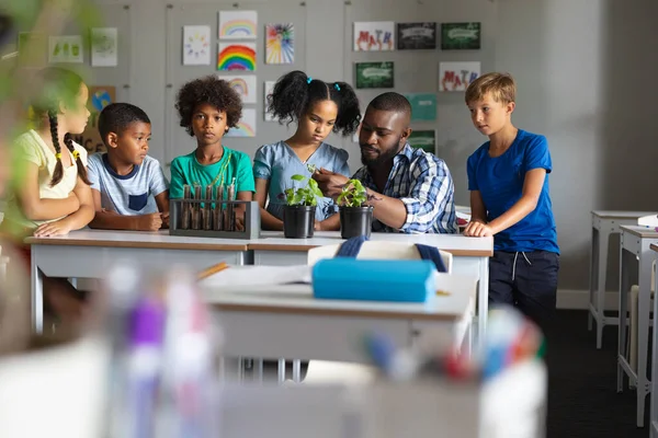 Afroameričtí Mladí Učitelé Ukazují Rostliny Multiraciálním Základním Studentům Třídě Nezměněné — Stock fotografie