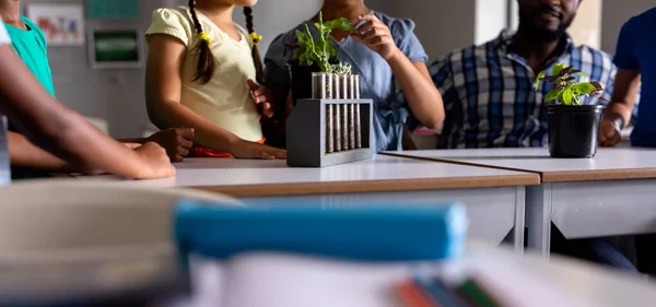 Profesor Joven Afroamericano Estudiantes Primaria Multirracial Discutiendo Sobre Plantas Inalterado —  Fotos de Stock