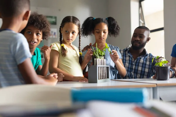 Afroamerikan Ung Manlig Lärare Tittar Multiracial Elementära Studenter Diskuterar Växter — Stockfoto