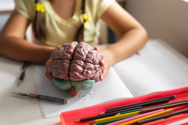机の上に座りながら脳モデルを持つ白人小学生の真ん中 変更されていない教育子供時代学習科学システム学校の概念 — ストック写真
