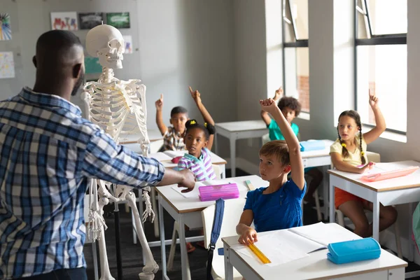 Afroamerikansk Ung Manlig Lärare Som Förklarar Skelett För Multirasistiska Elementära — Stockfoto
