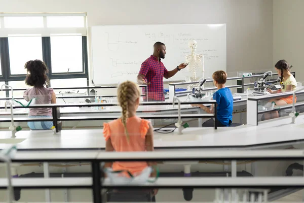 Jovem Professor Afro Americano Explicando Esqueleto Para Estudantes Multirraciais Laboratório — Fotografia de Stock