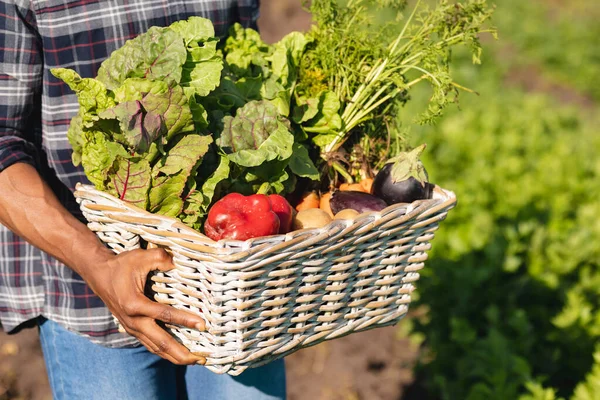 Midsection African American Male Farmer Carrying Vegetables Wicker Basket Farm — 图库照片