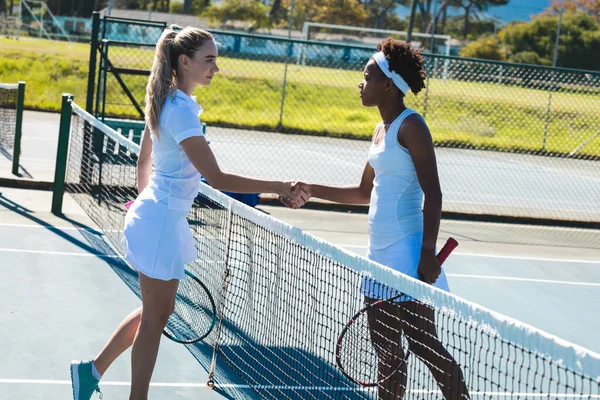 Young Female Multiracial Tennis Players Doing Handshake Net Court Sunny — Foto Stock