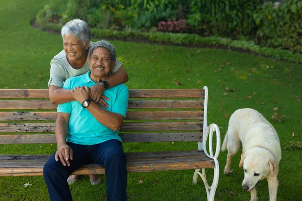Dog Standing Bench Cheerful Biracial Senior Woman Embracing Husband Sitting — Foto de Stock