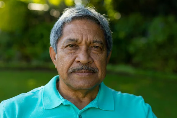 Close Portrait Biracial Serious Senior Man Gray Hair Plants Park — Foto de Stock