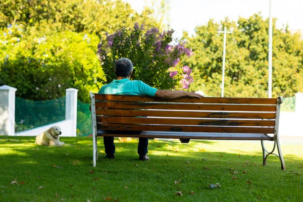 Rear View Biracial Senior Man Sitting Bench Dog Lying Grassy — Stockfoto