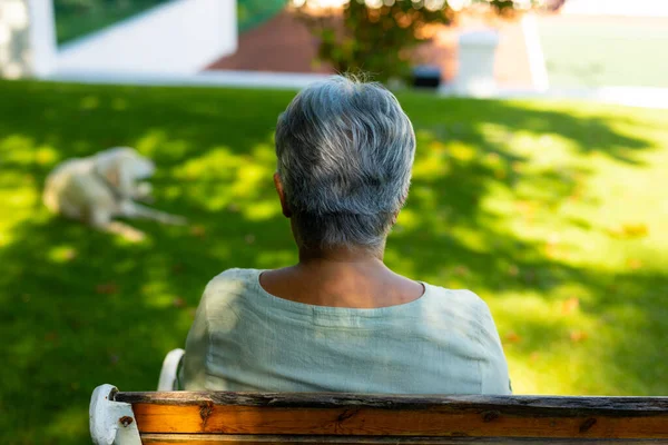 Вид Сзади Расовую Старшую Женщину Короткими Волосами Сидящую Скамейке Собаку — стоковое фото