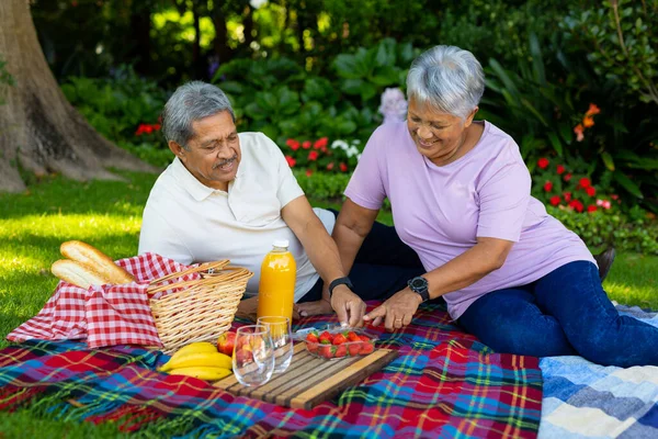 Uśmiechnięta Para Seniorów Sokiem Kocu Jedząca Truskawki Siedząc Parku Jedzenie — Zdjęcie stockowe