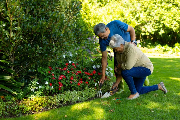 Biracial Senior Woman Senior Man Holding Trowel Fork Tools While — Foto Stock