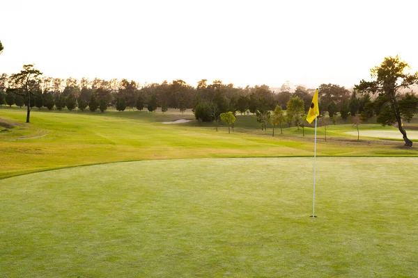 Pohled Golfovou Vlajku Jamce Uprostřed Travnaté Krajiny Proti Stromům Jasnou — Stock fotografie