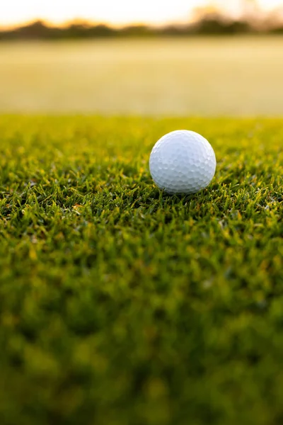 Nahaufnahme Von Weißem Golfball Auf Üppigem Grasland Golfplatz Bei Sonnenuntergang — Stockfoto