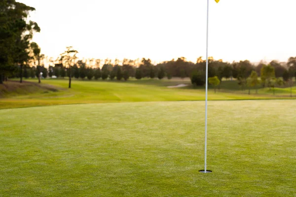 Flagstick Dans Trou Milieu Paysage Herbeux Contre Les Arbres Ciel — Photo