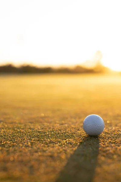 View Golf Ball Grassy Landscape Clear Sky Sunset Copy Space — Stock Photo, Image