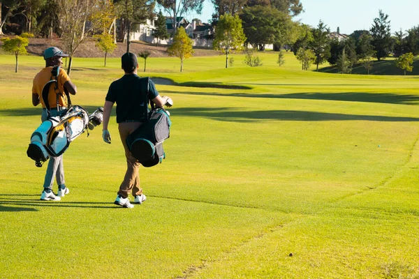 Zadní Pohled Mladé Mužské Mnohonásobné Přátele Golfovými Vaky Kráčející Travnatém — Stock fotografie